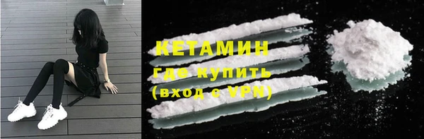 крисы Няндома