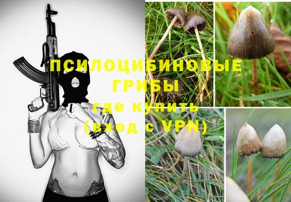 героин Алзамай