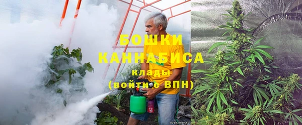 крисы Няндома