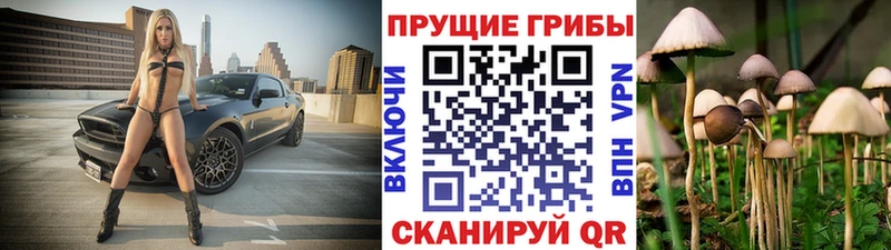 Псилоцибиновые грибы мицелий Рубцовск